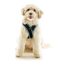 Escape Free Easy Fit X