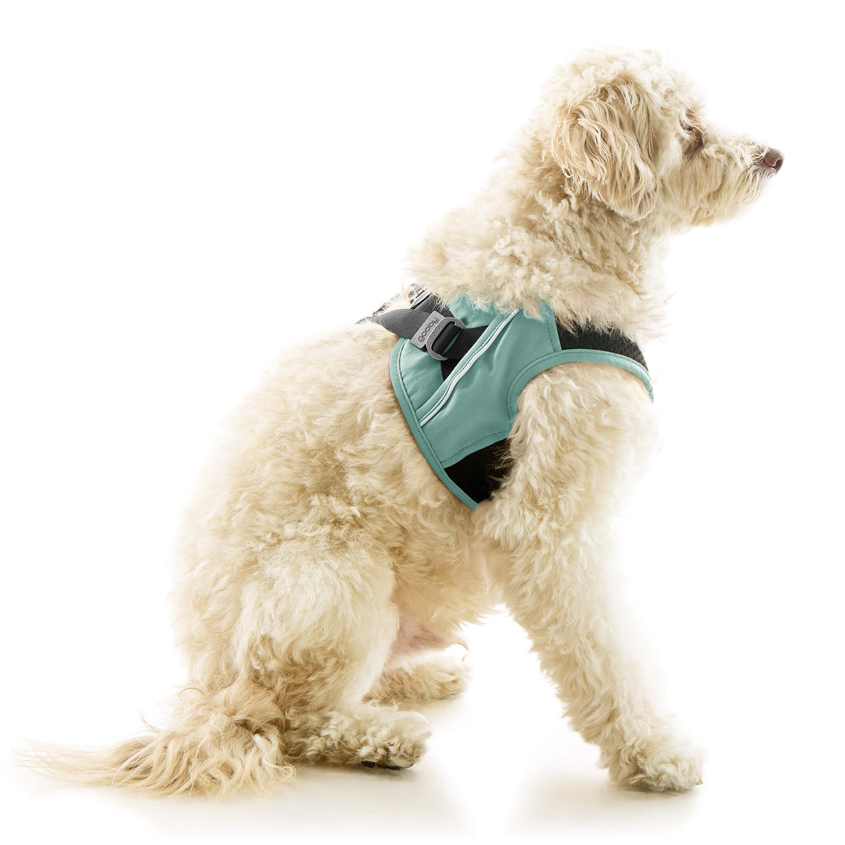 Escape Free Easy Fit X