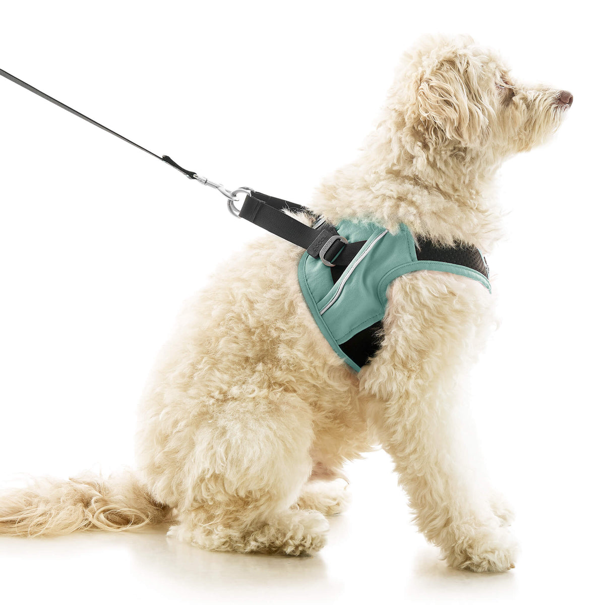 Escape Free Easy Fit X