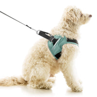 Escape Free Easy Fit X