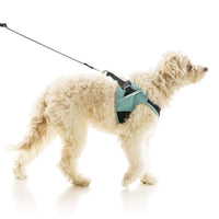 Escape Free Easy Fit X