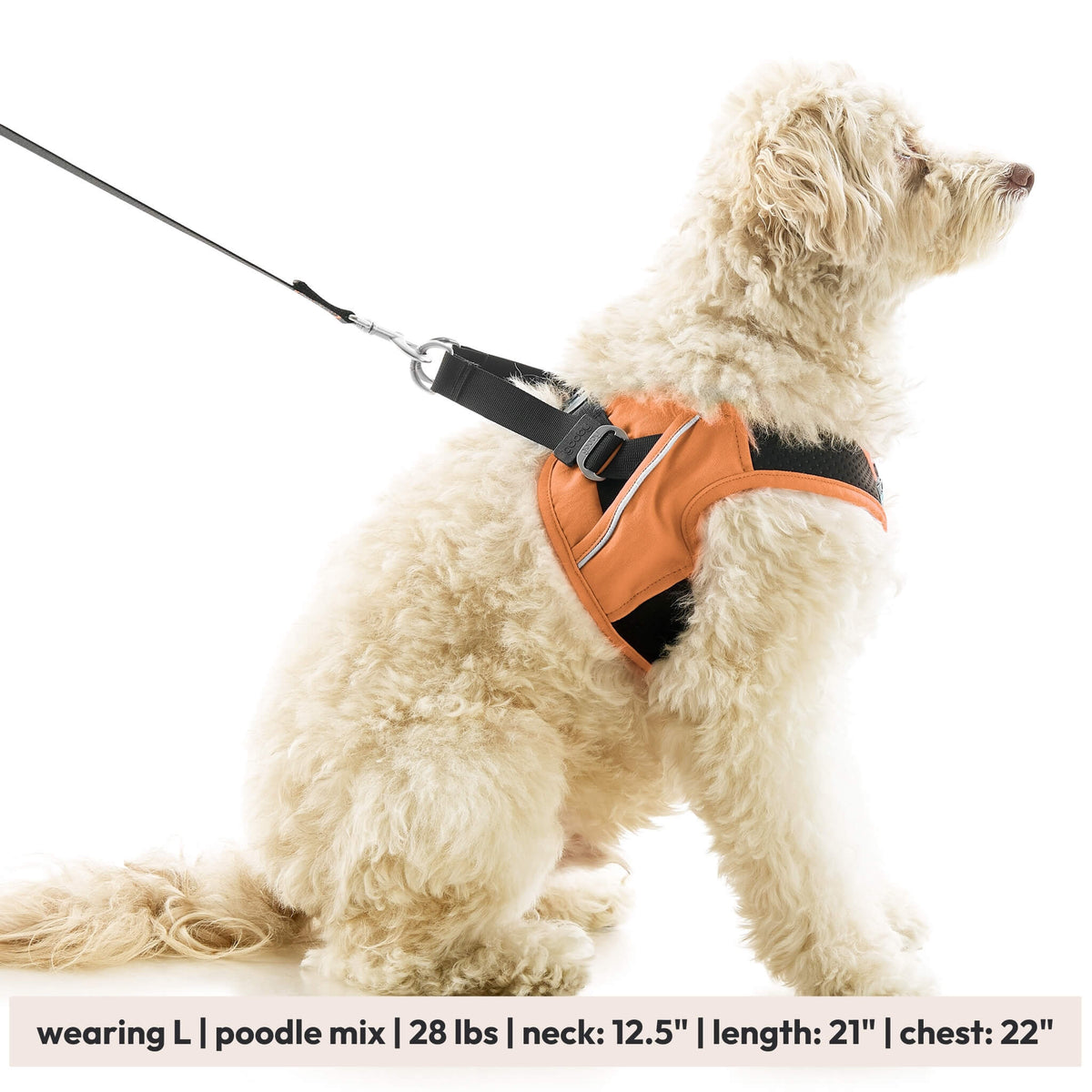 Escape Free Easy Fit X