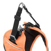 Escape Free Easy Fit X