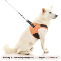 Escape Free Easy Fit X