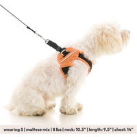 Escape Free Easy Fit X