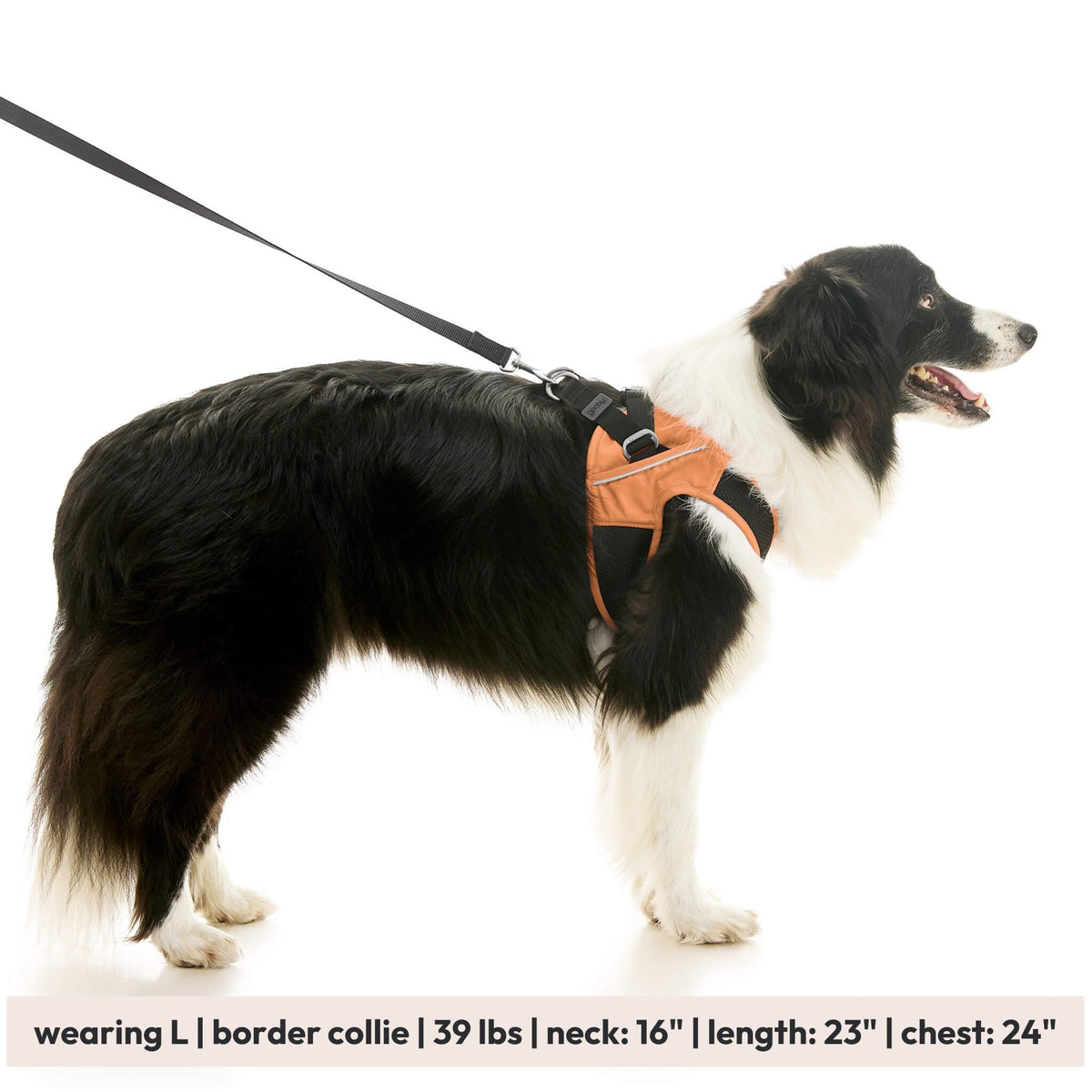 Escape Free Easy Fit X