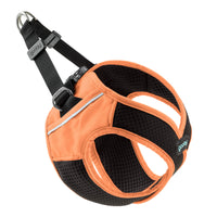 Escape Free Easy Fit X