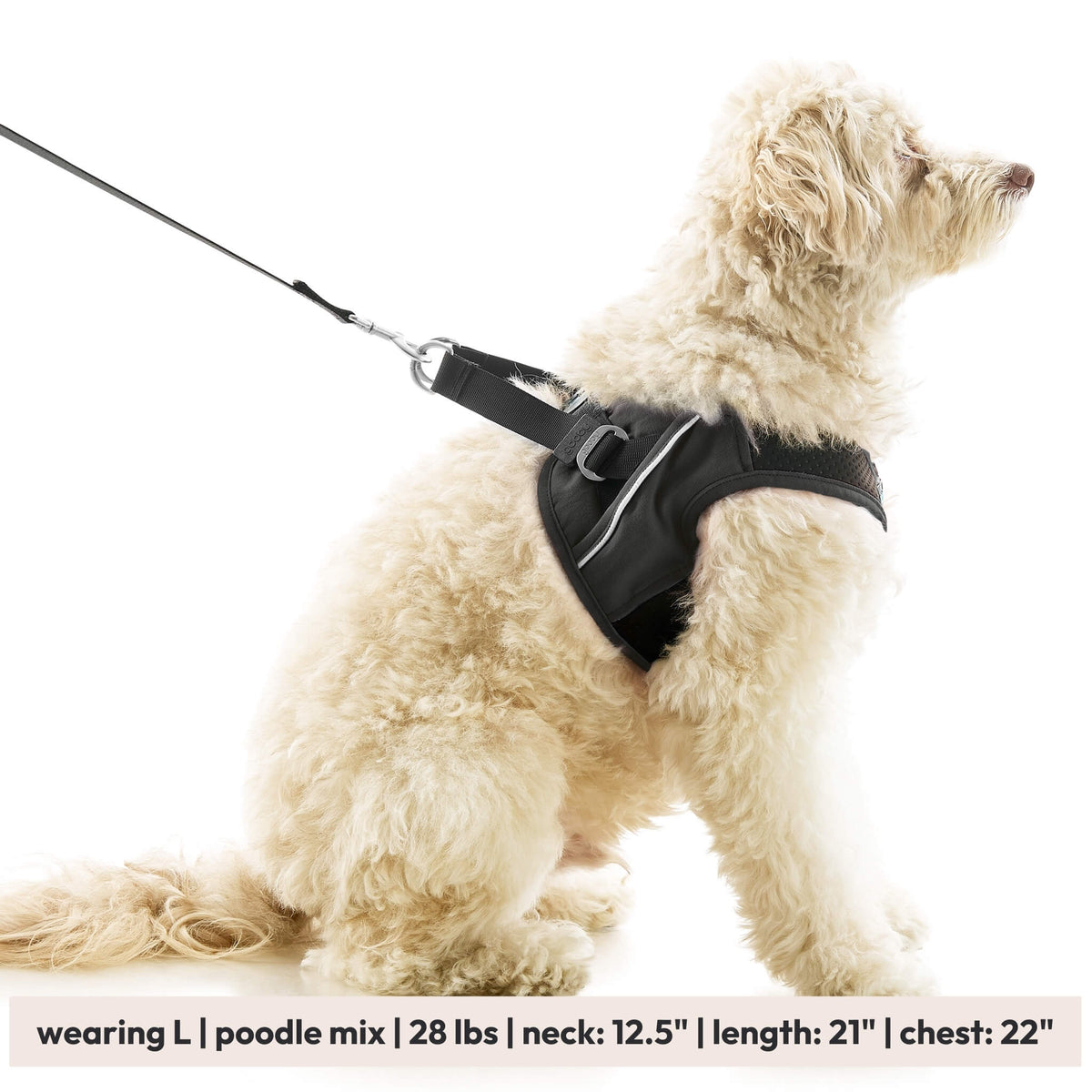 Escape Free Easy Fit X