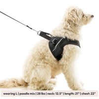 Escape Free Easy Fit X