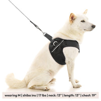 Escape Free Easy Fit X