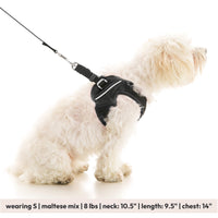 Escape Free Easy Fit X