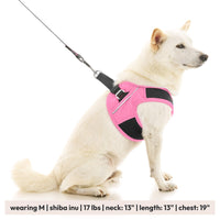 Escape Free Easy Fit X