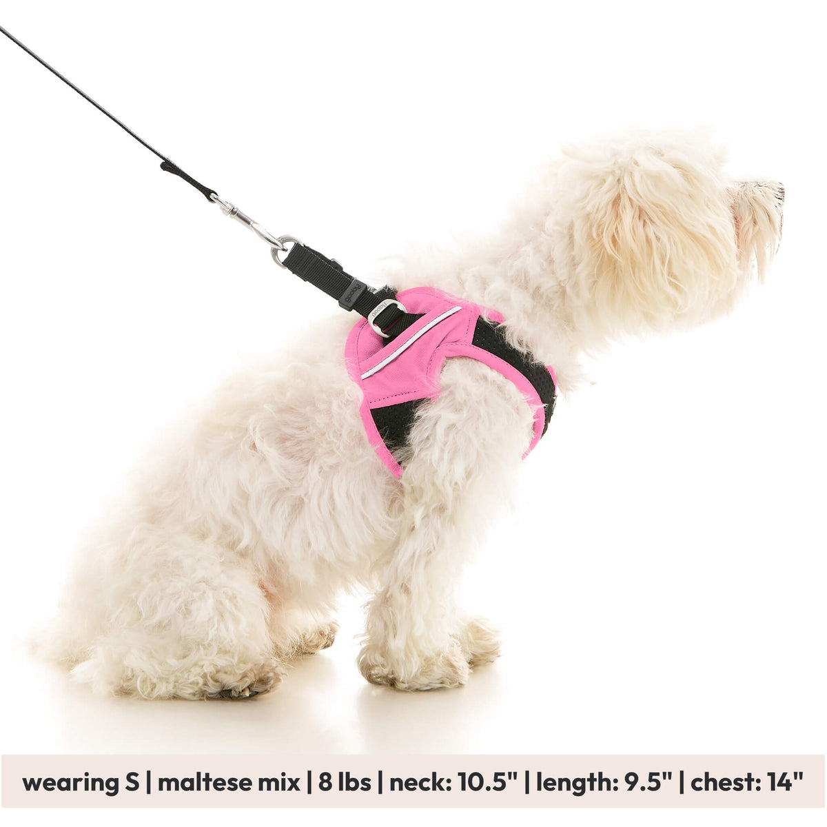 Escape Free Easy Fit X