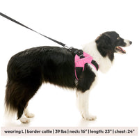 Escape Free Easy Fit X