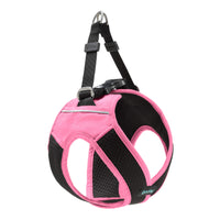 Escape Free Easy Fit X