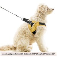 Escape Free Easy Fit X