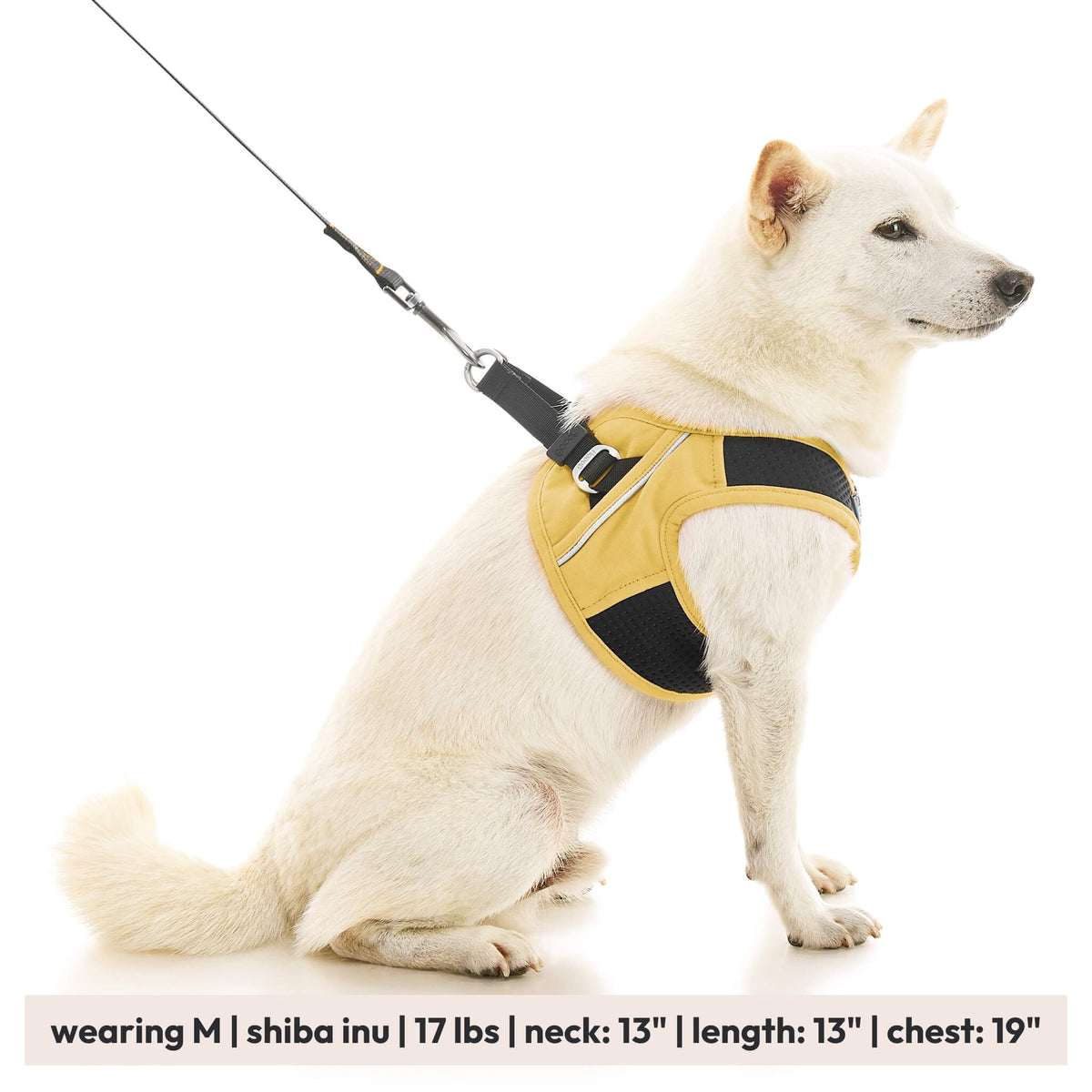 Escape Free Easy Fit X