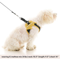 Escape Free Easy Fit X