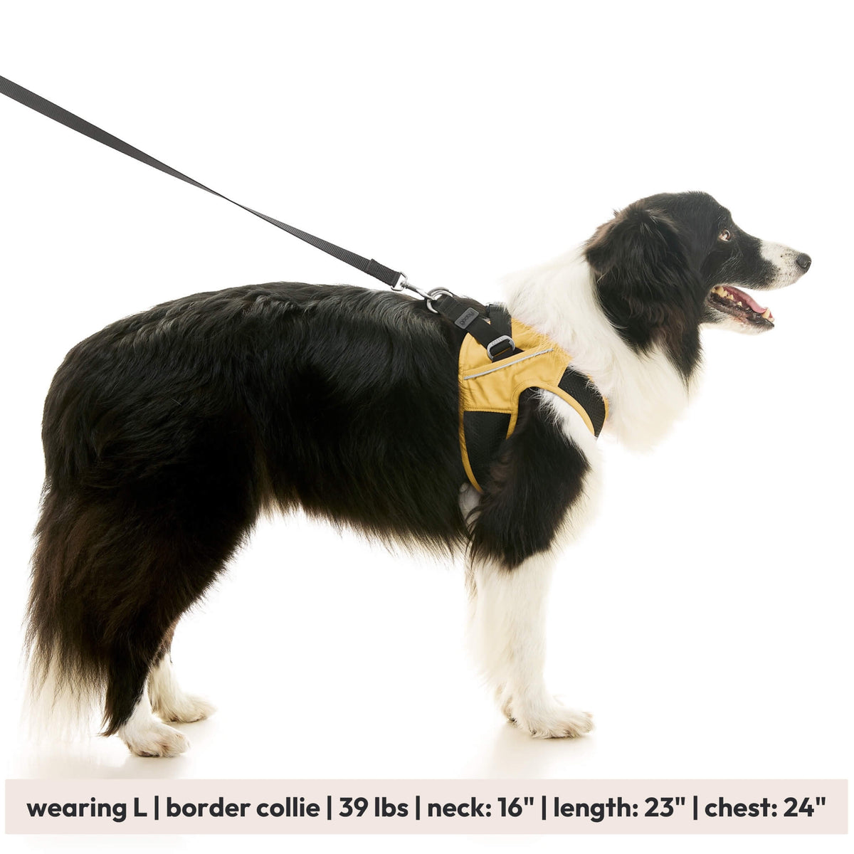 Escape Free Easy Fit X