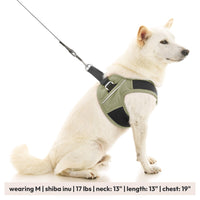 Escape Free Easy Fit X