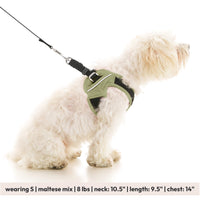 Escape Free Easy Fit X