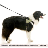 Escape Free Easy Fit X