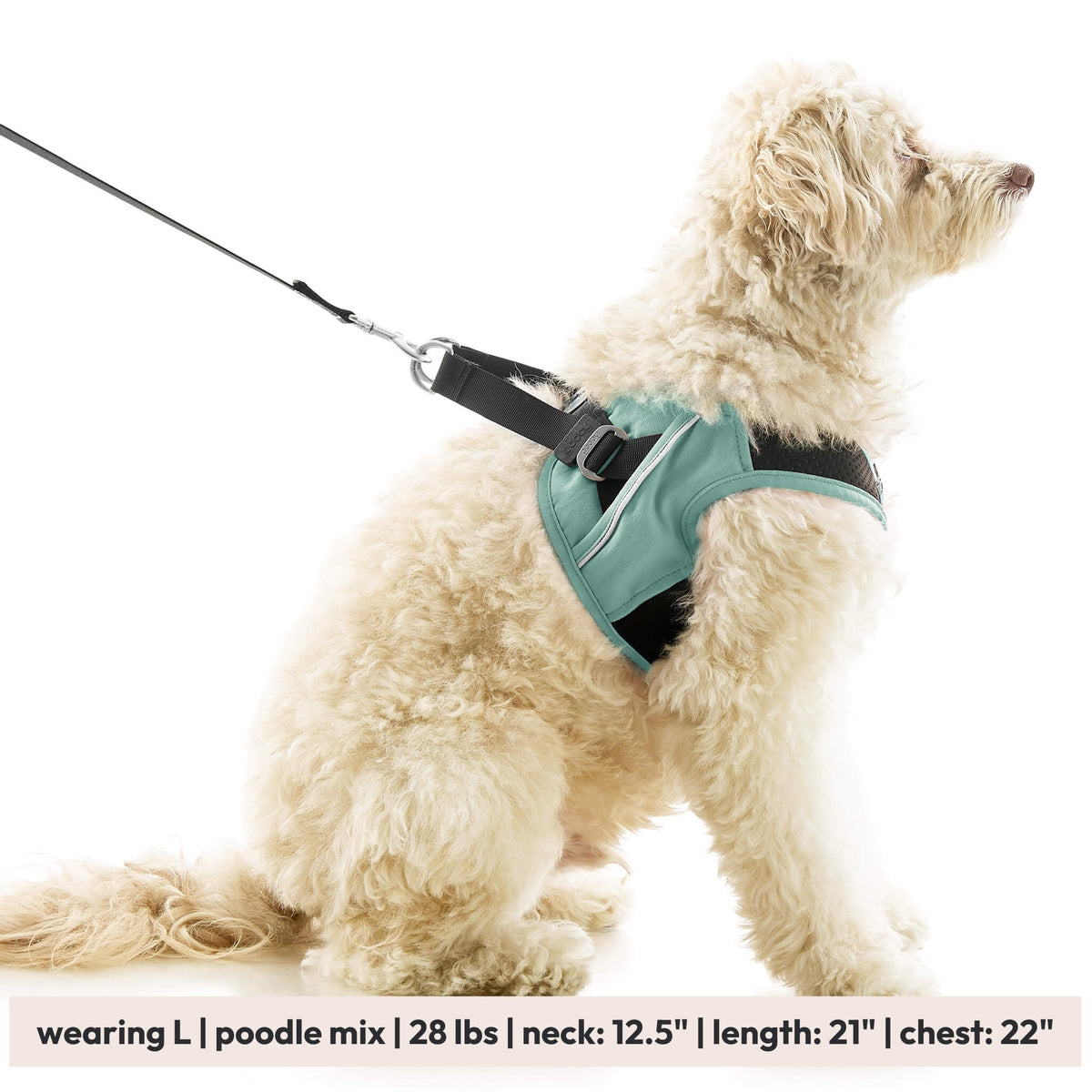 Escape Free Easy Fit X