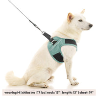 Escape Free Easy Fit X