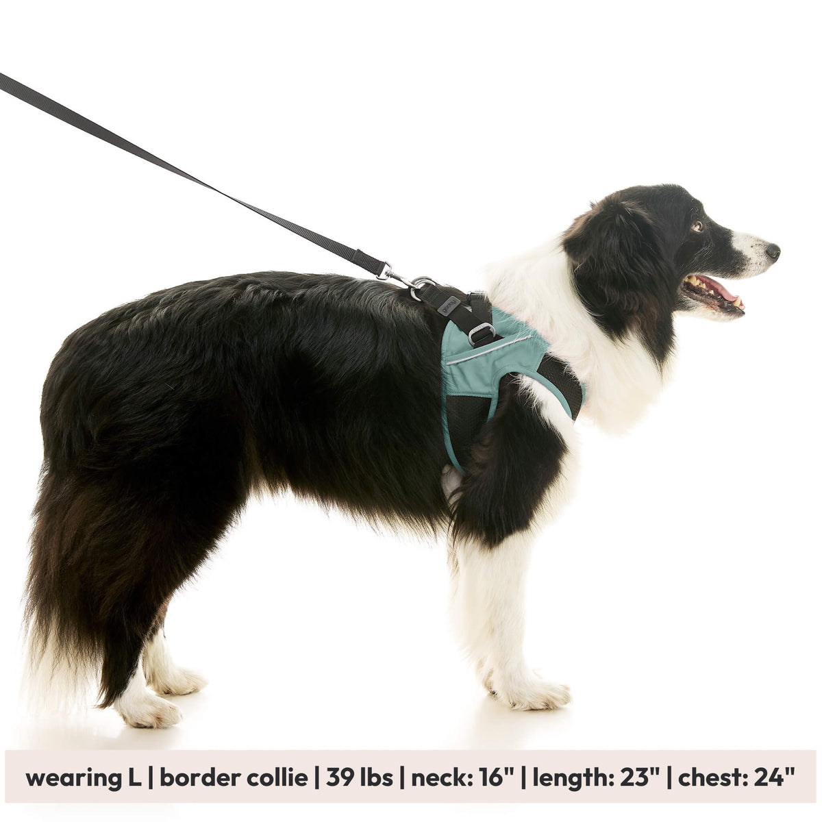 Escape Free Easy Fit X