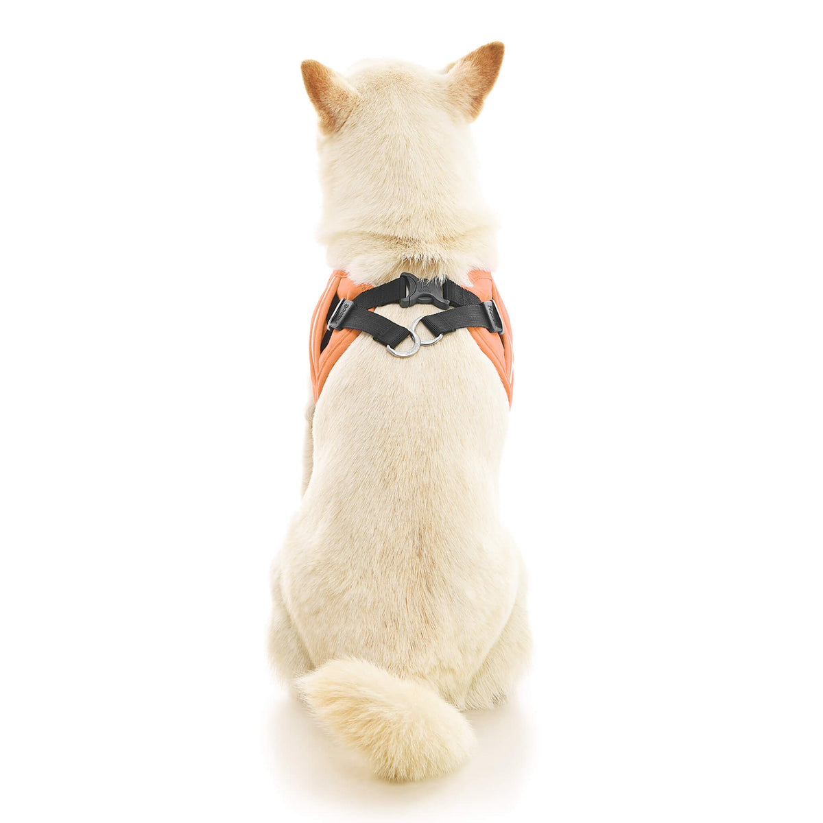 Escape Free Easy Fit X