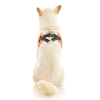 Escape Free Easy Fit X