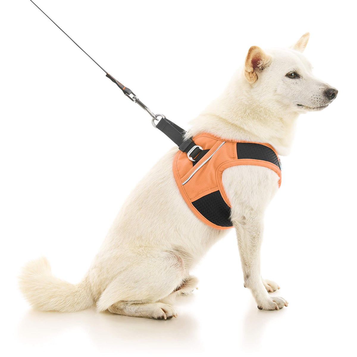 Escape Free Easy Fit X