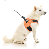 Escape Free Easy Fit X