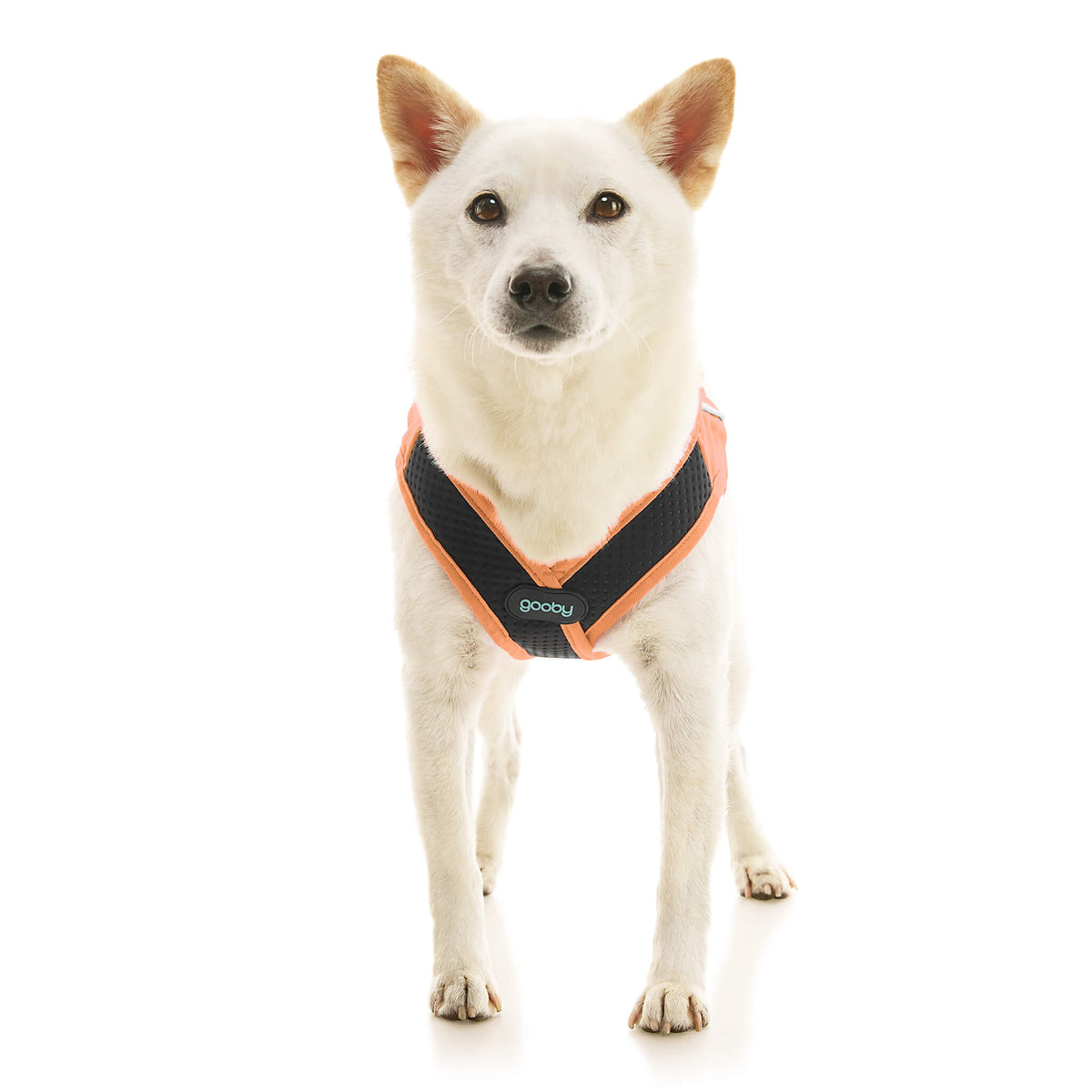 Escape Free Easy Fit X