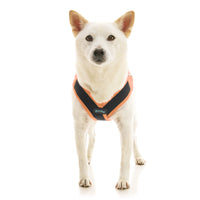 Escape Free Easy Fit X