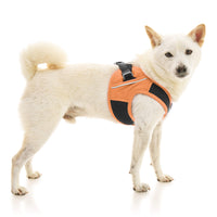 Escape Free Easy Fit X