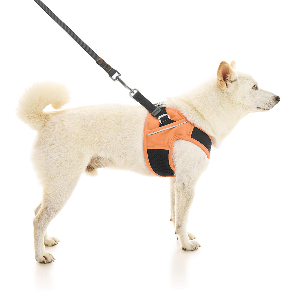 Escape Free Easy Fit X