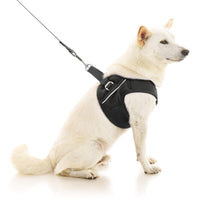 Escape Free Easy Fit X