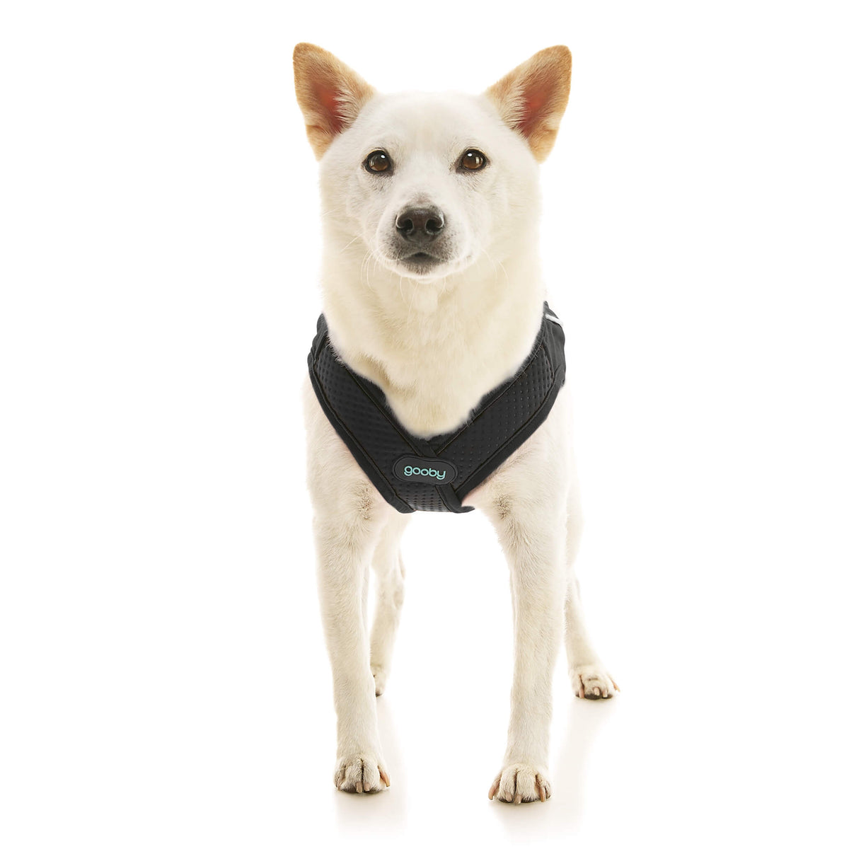 Escape Free Easy Fit X