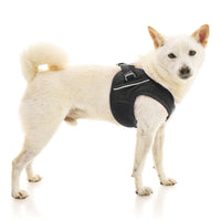 Escape Free Easy Fit X