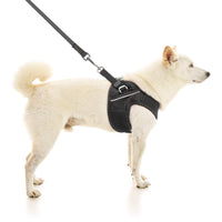 Escape Free Easy Fit X