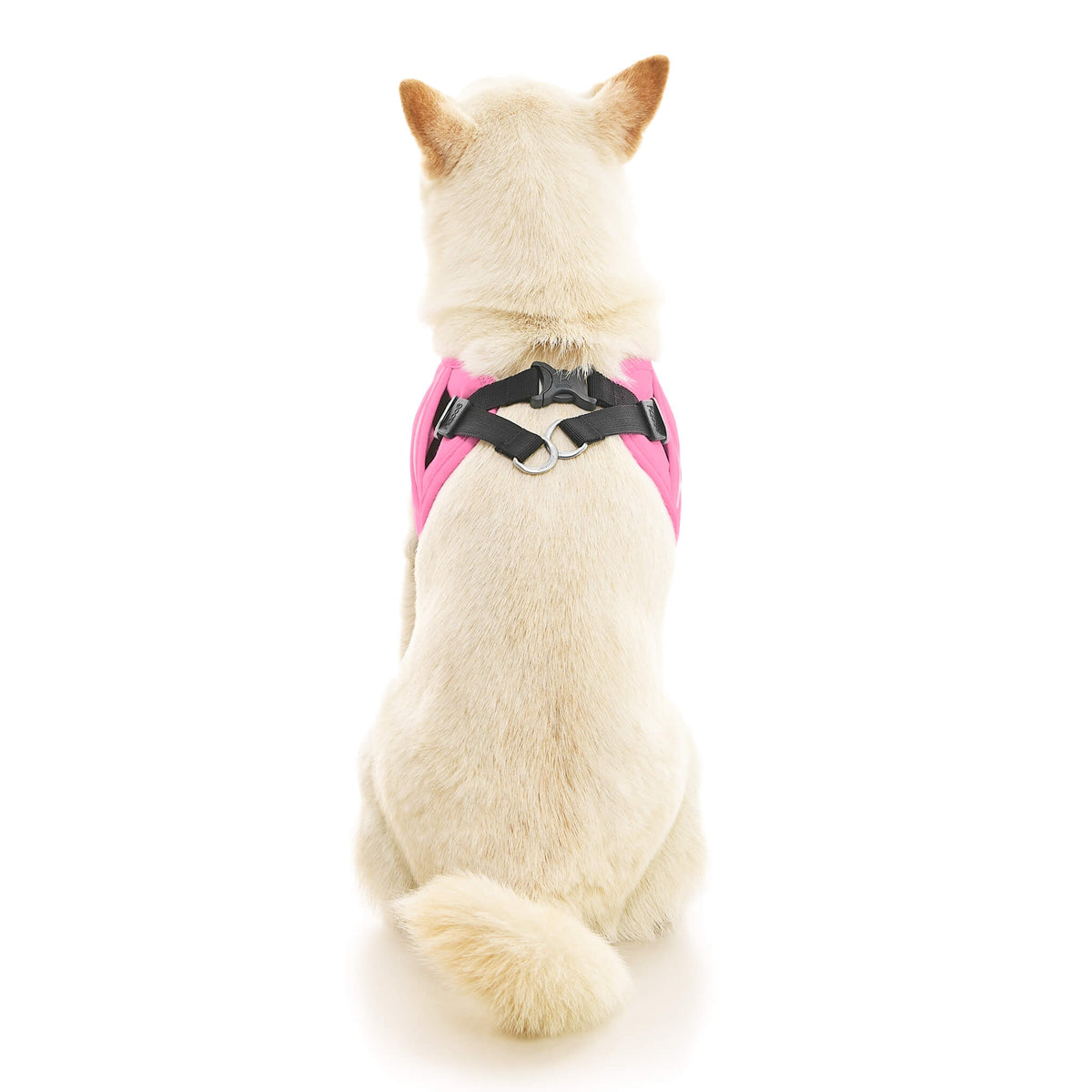 Escape Free Easy Fit X