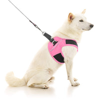 Escape Free Easy Fit X