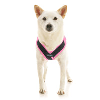 Escape Free Easy Fit X