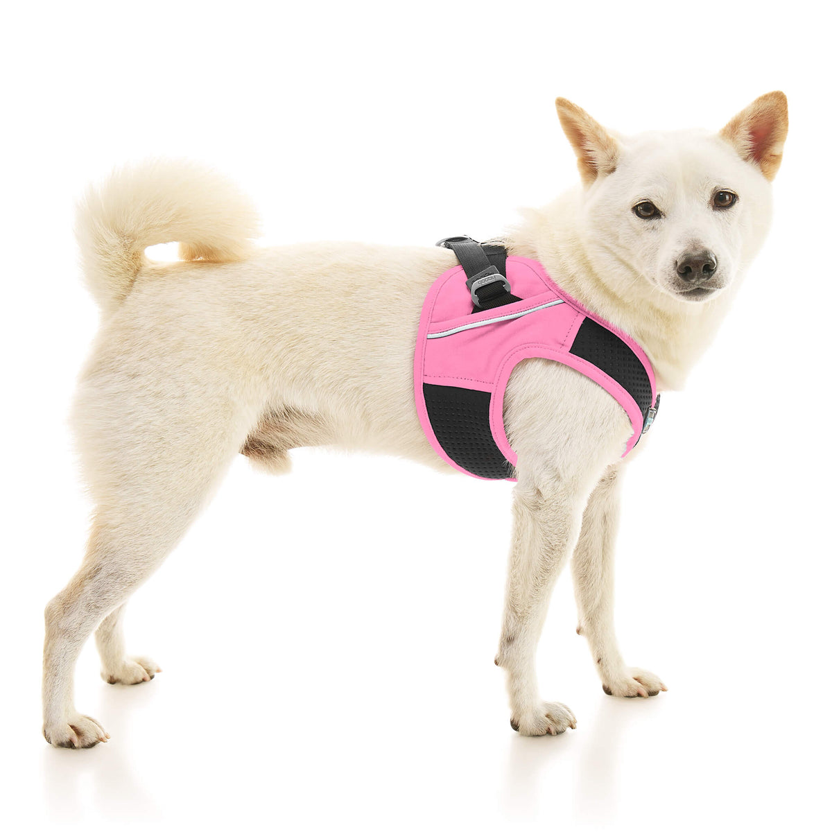 Escape Free Easy Fit X