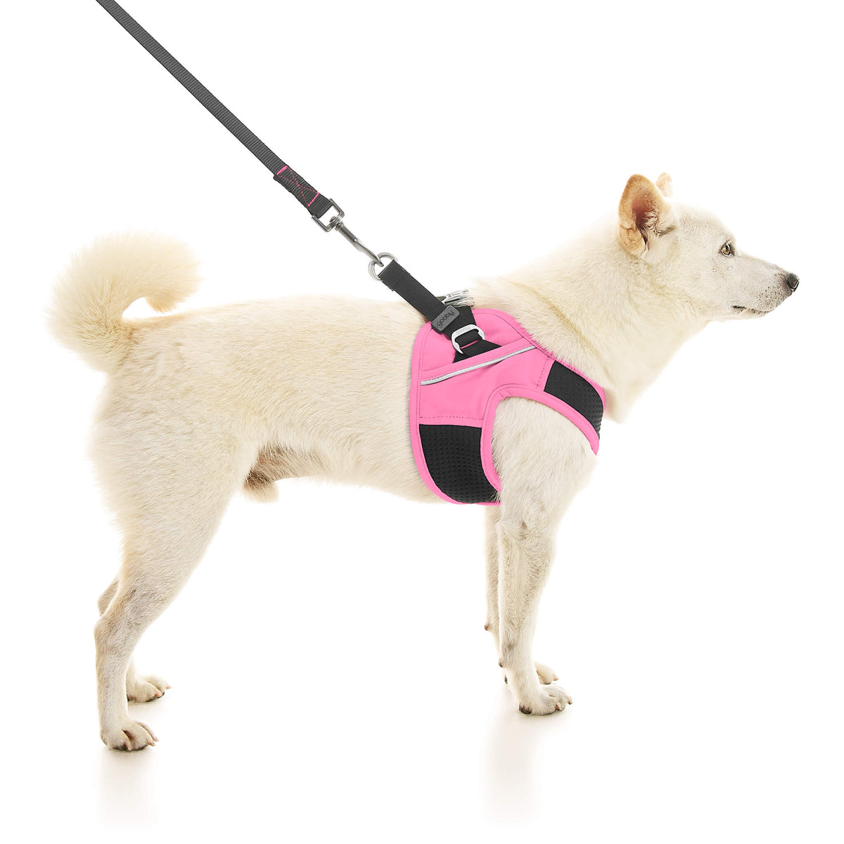 Escape Free Easy Fit X