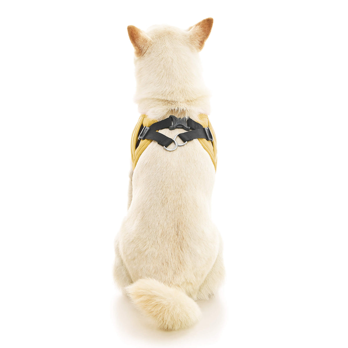 Escape Free Easy Fit X