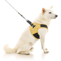 Escape Free Easy Fit X