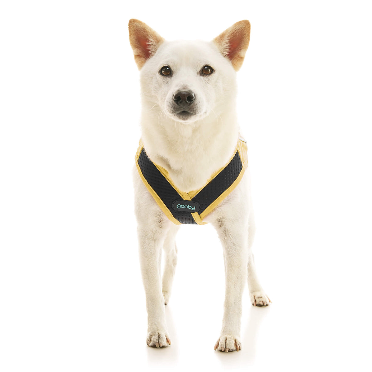 Escape Free Easy Fit X