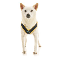 Escape Free Easy Fit X